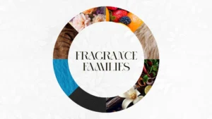 Fragrance Families Explained: Find Your Signature Scent