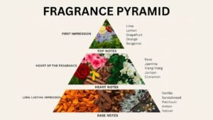 Middle Notes in Perfume